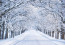 Minden évben sokan kíváncsiak vagyunk, végre lesz-e fehér karácsonyunk, hiszen az ünnep úgy az igazi. Korábban már megírtuk, hogy sajnos az adatok szerint 2020 sem kecsegtet havazással december végén, sőt, a nagy szezonális előrejelzésünkben beszámoltunk arról is, hogy januárban és februárban sem várható sok hó, csapadék ugyan lesz bőven, de inkább esőre számíthatunk.
