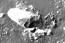 Többek között például erről a felvételről van szó. A NASA fotói közül ezen szabályos alakú sziklák láthatók, melyek a szakértők szerint épületek lehetnek. Az illetékesek úgy gondolják, sok millió éve elhagyatottak, és a múltban valami borzalmas, tragikus incidens következtében hagyhatták el a földönkívüliek az égitestet.
