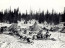 Nunavut tehát a kanadai sarkvidéki szigetcsoport legnagyobb részét magában foglalja, ahol szinte alig van szárazföldi terület: a talajt gleccserek, kopár sziklák és tundra borítja, valamint sekély pocsolyák és patakok, melynek összessége alkotja az Angikuni-tavat. Az itt található eszkimó falu eltűnéséről Frank Edwards röviden írt az 1959-ben megjelent Stranger than Science című könyvében, ami a megoldatlan eset egyik leghíresebb forrása. A beszámolóban az olvasható, hogy a rendőrség a férfival együtt visszatért a helyszínre, és mindent megerősített, amit Joe Labelle állított: az összes falusi eltűnt, és egyszerűen senki nem értette, miért hagyták maguk mögött értéktárgyaikat és gyakorlatilag egész életüket.

