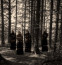 A 15, 16 és 17. században harminc ember tűnt el a környékről, többen pedig bizarr árnyakról számoltak be, akik a fák között sétálnak, de gyakran hallottak furcsa, semmihez sem hasonlítható hangokat is szürkületkor. Egyesek szerint a kísérteties figurák a druidák szellemei.
