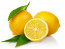 A C-vitaminban gazdag, antioxidánsokkal teli citrom elengedhetetlen egészségünk megőrzéséhez.