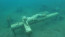 Jézus-szobor a Michigan-tó alján

A Michigan-tó alján a mai napig ott fekszik az a közel 3,5 méteres fehér márványkereszt, ami a keresztre feszített Jézus Krisztust ábrázolja, méghozzá életnagyságban. A szobrot 1956-ban készítették Olaszországban egy család kérésére, akik egy tragikus balesetben elvesztették 15 éves fiúkat. Sajnos a feszület megsérült az Olaszországból az Egyesült Államokba vezető úton, ezért a család nem volt hajlandó átvenni az elkészült emlékművet. Egy búvárcsapat azonban megvette, és az elhunyt búvártársak emlékére a tó fenekére fektették.
