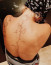Sokak szerint Lady Gaga ezt a tetoválást Bradley Cooper miatt csináltatta magának 