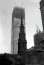 A World Trade Center eredetileg 6 épületből álló komplexum volt. Sokan csak a 2001-es lerombolásáról tudnak, arról viszont nem, hogy 1993-ban már túlélt egy terrortámadást. Annyira hatalmas volt, hogy saját irányítószámot is kapott. Itt éppen az első torony épül.
