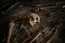 Ha nem koporsóban temetik el a halottat, akkor öt év kell ahhoz, hogy a csontokon kívül minden szövet, szerves anyag eltűnjön - állítja Nicholas Passalacqua, a Nyugat-Karolinai Egyetem oszteológia (a csontok vizsgálatával foglalkozó tudományág) professzora.

