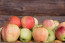 Az alma az őszi napéjegyenlőség egyik legősibb szimbóluma. Mabon ünnepén használd az almát minden formájában - nyersen fogyasztva, süteményként, illatgyertyaként vagy akár a szépségápolásban.
