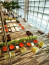 A Crowne Plaza Changi Airport immár nyolcadik éve nyerte el a világ legjobb repülőtéri szállodája díját.

