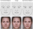 A kutatás arra enged következtetni, hogy az okosnak vélt emberek leginkább hosszúkás arcformával rendelkeznek, emellett pedig a szemek közötti nagyobb távolság, méretesebb orr és hegyesebb, karakteres áll jellemzi őket.
