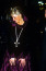 Diana hercegné 1987-ben egy londoni jótékonysági gálán viselte a Garrard luxusékszerház által 1920-ban készített, lenyűgöző nyakláncot, amelynek medálja egy négyzet alakú ametisztekkel és körkörösen csiszolt gyémántokkal díszített kereszt.
