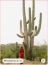 Saguaro

A Western filmek elmaradhatatlan kelléke a saguaro, azaz óriáskaktusz, amely 15 méterre is megnőhet, tömege pedig elérheti az 5-6 tonnát.
