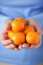 A hideg hónapokban nemcsak a finom íz miatt érdemes mandarint fogyasztani, hanem azért is, mert erősíti az immunrendszert, ezzel pedig megelőzhető a téli megfázás – 100 g mandarin csaknem 30 g fontos vitamint tartalmaz.
