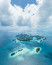 Palau Köztársaság -&nbsp;Egy apró óceániai ország, ami több mint háromszáz különböző méretű szigetből áll. Esőerdői hemzsegnek a különleges madaraktól és növényektől, vizeit pedig százharminc veszélyeztetett cápafaj lakja. A legcsodálatosabb látványossága a tó, amiben nagyjából két millió medúza él, amik az idő múlásával - az utazók legnagyobb örörmére -&nbsp;elvesztették csípőképességüket.
