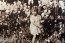 Egy édes kislány virágot szed boldogan a kertben 1930-ban 4 éves korában – az illető ma már 95 éves is elmúlt, és négy gyermek édesanyja.
