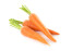 Sárgarépa

A sárgarépa sokoldalú&nbsp;zöldség, jelentős vitaminforrás, régóta ismerjük és termesztjük.
