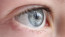 Az emberek kevesebb mint 1%-ának van szürke szeme

Egészen a közelmúltig úgy gondolták, hogy egyetlen gén felelős a szemünk színéért. De mint kiderült, körülbelül 16 gén játszik szerepet a szemszín meghatározásában, amelyek néhány ritka és egyedi árnyalatot, például a szürkét is előállíthatják. Bár a szürke szemek első pillantásra kéknek&nbsp;tűnhetnek, a tiszta kék szemektől eltérően hajlamosak barna és aranyszínű foltokat tartalmazni. ﻿A világ népességének kevesebb mint 1%-a rendelkezik szürke szemmel, ami a legkevésbé gyakori szemszínek közé sorolja. A szürke szemek árnyalatai a zöldes, füstös kéktől a mogyoróbarnáig változhatnak, ami gyakran függ a környezettől, különösen a megvilágítástól. Észak- és Kelet-Európában a leggyakoribbak.
