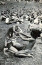 A Woodstockot&nbsp;2019-ben szerették volna ismét feleleveníteni az 50.évforduló alkalmából, helyszínül&nbsp;pedig a New York állambeli Watkins Glen International autóversenypályát választották. Az eseményre több mint 80 világhírű fellépőt vártak volna, a sztárok azonban&nbsp;sorban visszamondták a koncerjeiket, így a fesztivál végül elmaradt.
