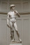 Kezdjük azzal, hogy már maga az anyag is tökéletlen, amiből készült. A szobrokhoz használt márvány ideális esetben egy tiszta fehér kőtömb. Ezt a darabot viszont eleve kis lyukak és elszíneződések borították. Az első szobrász, aki belevágott a faragásba, az itáliai Agostino di Duccio, aki rosszul állt neki és elrontotta a méreteket. Miután nem akadt más szobrász a munkára, majdnem 40 évig hevert a kő, kitéve az esőnek és a madarak okozta környezeti hatásoknak. Végül a megbízást Michelangelo kapta, akinek sikerült megmentenie a kődarabot és életre keltette Dávidot.
