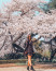 Isztambul, Törökország

Az isztambuli Japán Kert a japán Shimonoseki régió mintájára épült, tele hagyományos növényzettel, köztük hatalmas sakura fákkal, melyek fölénk magasodva ebben az időszakban rózsaszínbe borulnak és mennyei illattal lengik be a területet.
