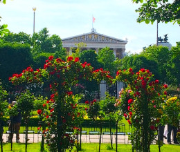 Bécs rózsakertje, a Volksgarten