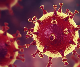 Újabb koronavírus-variáns fenyegeti Európát? Intenzíven terjed, és az eddigi vakcinákkal sem lehet megfékezni