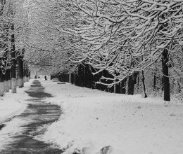 Megbénítja az országot a tél: 15 centiméter hó is hullhat a héten, de van valami, ami ennél is nyugtalanítóbb