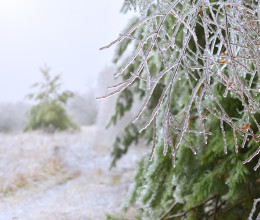 Nem sokáig örülhetünk már a tavaszias februárnak, brutális hidegbetörés jön a hétvégén