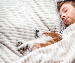 Soha ne aludj a kutyáddal, pláne télen - Tragikus vége lehet a szakértő szerint