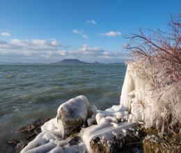 Belefagyott a Balatonba egy hattyú, szívszorító látvány fogadta a vízimentőket - Videó