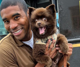 Ez a futár most az internet sztárja: minden kutyával fotózkodik, akivel találkozik - képeiért százezrek rajonganak