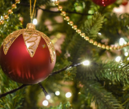 Halálra rémült a gyanútlan család: mozogni kezdtek a karácsonyfa ágai - hihetetlen, milyen élőlény lapult meg a díszekkel teleaggatott fenyőben
