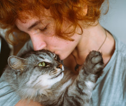 2 másodperces mozdulattal tudathatod a macskáddal, hogy igazán szereted - bizonyítottan megérti