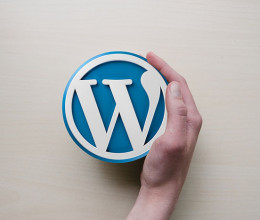 WordPress oldalt hoznál létre? Akkor ez a lehetőség érdekelni fog!