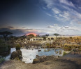 Serengeti Nemzeti Park, Tanzánia