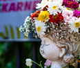 Nemcsak szín-, de programkavalkád is várható a Debreceni Virágkarneválon