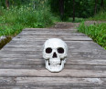 Napi bizarr: emberi koponyát találtak Soroksáron