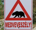 Medvét láttak egy pest megyei falu közelében