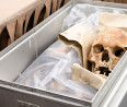 Eddig azonosítatlanul nyugodtak egy csontkamrában a magyar uralkodók maradványai, de ennek most vége