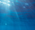 Rejtélyes mélyedéseket találtak az óceán fenekén - valószínűleg egyiket sem ember alkotta